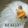 YoungDuck's avatar YoungDuck's avatar