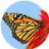 🌷Virginia🌷's avatar 🌷Virginia🌷's avatar