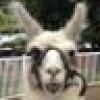 PatriotMom69's avatar PatriotMom69's avatar
