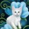 Cattitude🇺🇸🐾🌹's avatar Cattitude🇺🇸🐾🌹's avatar
