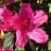 SSimms777's avatar SSimms777's avatar