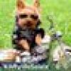 deplorable dananaby's avatar deplorable dananaby's avatar