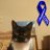 M Spillane's avatar M Spillane's avatar