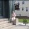 Kathy ๐#NRA's avatar Kathy ๐#NRA's avatar