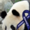 Bob Miller's avatar Bob Miller's avatar