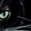Cattitude❌🇺🇸🌹🐉's avatar Cattitude❌🇺🇸🌹🐉's avatar