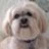 (((Harry Enten)))'s avatar (((Harry Enten)))'s avatar