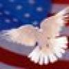 🕊️ The Ivory Dove ©'s avatar 🕊️ The Ivory Dove ©'s avatar