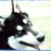 Bertha's avatar Bertha's avatar