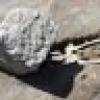 Allahpundit's avatar Allahpundit's avatar