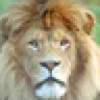 Kubu's avatar Kubu's avatar