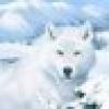 Resist🌊FOXXXXFIRE5🌊Resist's avatar Resist🌊FOXXXXFIRE5🌊Resist's avatar