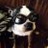 Molly's Mom's avatar Molly's Mom's avatar