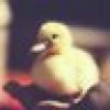 #OneNationUnderGOD's avatar #OneNationUnderGOD's avatar