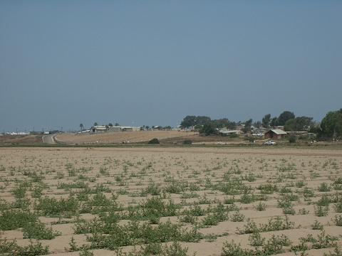 san-diego-border-townhall.jpg