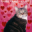 Kitten Underground's avatar