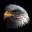 FlyingEagle 🦅 🇺🇸 🙏 ✝️ ⭐️⭐️⭐️'s avatar
