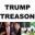 Trump Treason's avatar