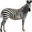 Zebra Ramen's avatar