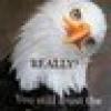Terri King's avatar Terri King's avatar