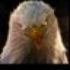 CEV-SKV ๐บ๐ธ's avatar CEV-SKV ๐บ๐ธ's avatar