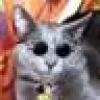 Miao's avatar Miao's avatar