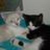 Babalugah ๐ธ's avatar Babalugah ๐ธ's avatar