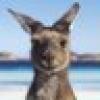 Australia's avatar