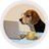 NewsHounds's avatar NewsHounds's avatar