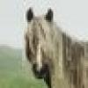 Ascher's avatar Ascher's avatar