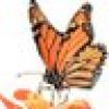 🍁Virginia🍁's avatar 🍁Virginia🍁's avatar