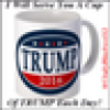 VOTE FOR TRUMP 2016's avatar