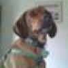 Janet Heinsler's avatar Janet Heinsler's avatar