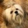 InnerChild (#ImpeachedForever)'s avatar InnerChild (#ImpeachedForever)'s avatar