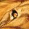 CateKA's avatar CateKA's avatar