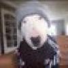 KamazkieShibe's avatar KamazkieShibe's avatar