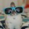 Angulargyrus's avatar Angulargyrus's avatar
