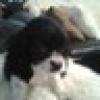 Ida Whanna⭐⭐⭐🇺🇸's avatar Ida Whanna⭐⭐⭐🇺🇸's avatar