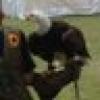 Mr. Larry's avatar Mr. Larry's avatar
