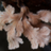 Qὖåᶄer Ṑrţs's avatar Qὖåᶄer Ṑrţs's avatar