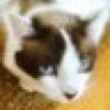 Nanners's avatar Nanners's avatar