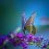 Ms. Lonnie 🦋🆘's avatar Ms. Lonnie 🦋🆘's avatar