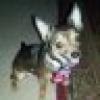 Shi's avatar Shi's avatar