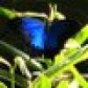 Holly Tooker's avatar Holly Tooker's avatar
