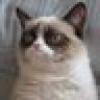 ⚜ ChloeCat ⚜'s avatar ⚜ ChloeCat ⚜'s avatar