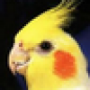 gilbertjasono's avatar