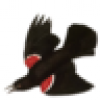 The Public Archive's avatar The Public Archive's avatar