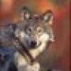 Bonzer Wolf™🇺🇸's avatar Bonzer Wolf™🇺🇸's avatar