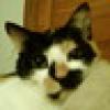 Stacy M. Weaver's avatar Stacy M. Weaver's avatar