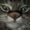 Tabitha Lily's avatar Tabitha Lily's avatar
